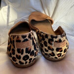 Toms Leopard and Brown Women's Flats